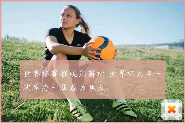 世界杯赛程规则解析 世界杯几年一次举办一届成为焦点