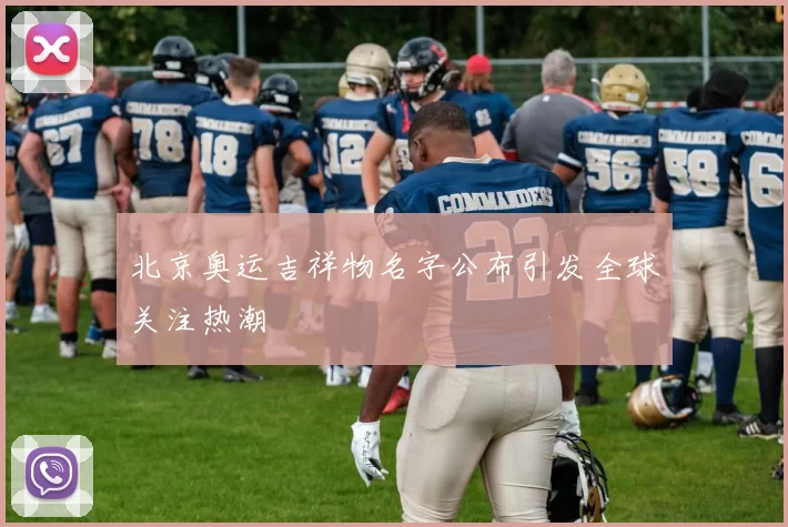 北京奥运吉祥物名字公布引发全球关注热潮